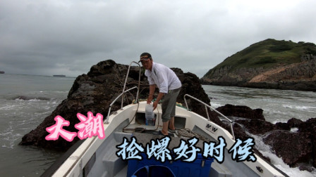大潮流急水浑鱼难钓，阿杰赶紧上礁捡点螺回家，一家人吃得很开心