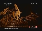 洪荒大庆 《探索·发现》 20121013 洪荒大庆（二）：谁为王者