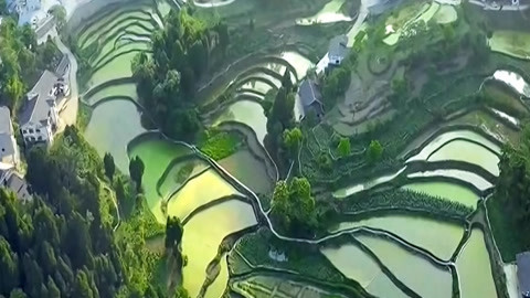 与梦想合拍 稻花香里万福来