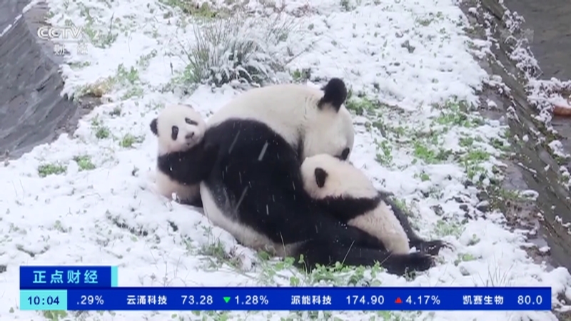 《正点财经》 20210312 10:00