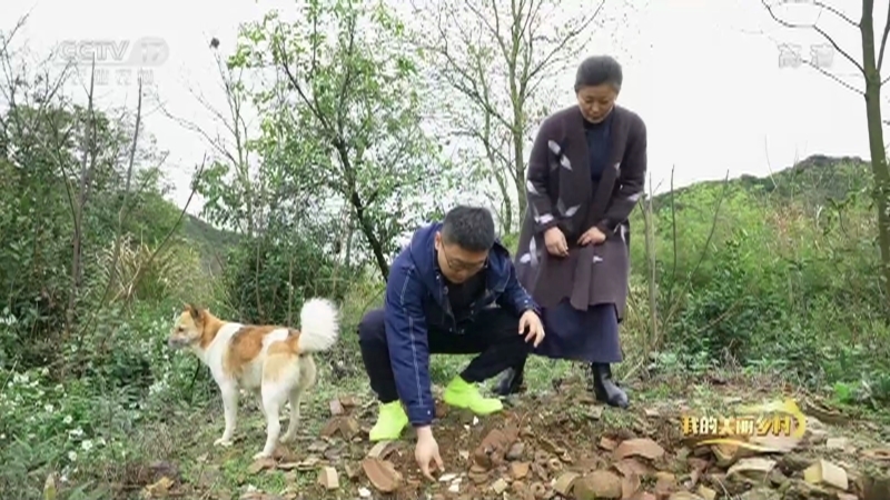 《我的美丽乡村》 20210530 古窑村 新思路