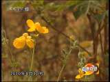 道德观察 道德观察（日播版） 2010年 第282期 永不瞑目（上）
