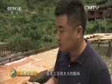 消费主张 《消费主张》 20151029 农产品价格揭秘——野生水果