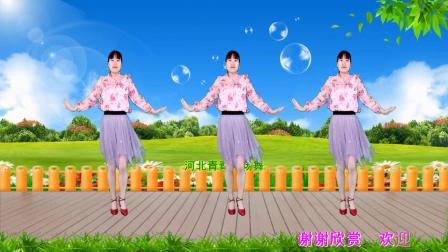 新32步广场舞《牵着妈妈的手》动感优美