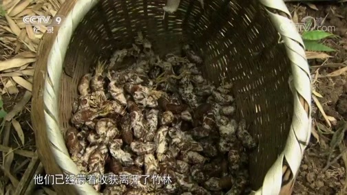 《晴雨梅天》 第四集 以食为天