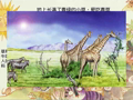 小牛顿之科学开讲 太阳-上