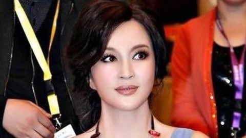 经济法眼 刘晓庆的烦心事