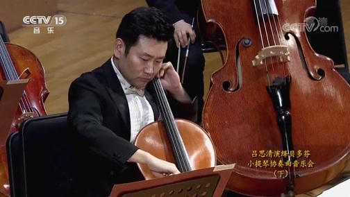 CCTV音乐厅 《CCTV音乐厅》 20200204 吕思清演绎贝多芬小提琴协奏曲音乐会（下）