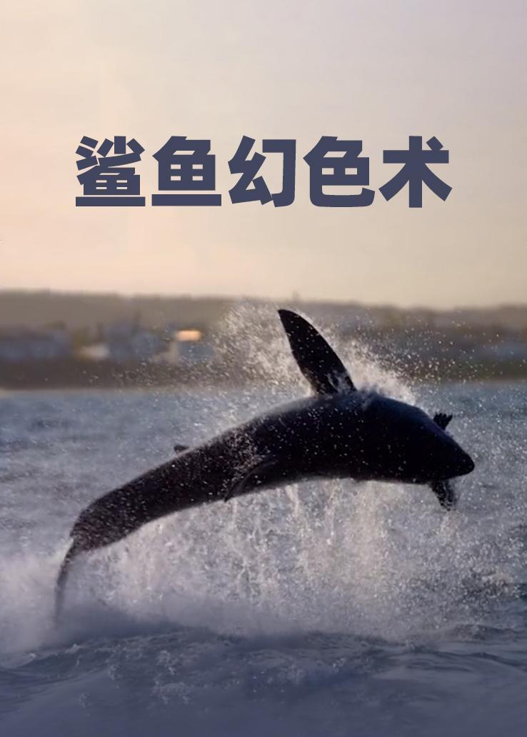 鲨鱼幻色术