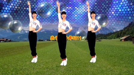 大众健身广场舞《爱情花蝴蝶》DJ版弹跳步子舞