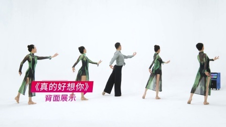 真的好想你-孙爱迪（背面展示）