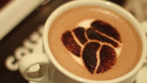 乐活好正点 猫主题咖啡馆