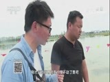 我爱发明 《我爱发明》 20171124 水上修剪师