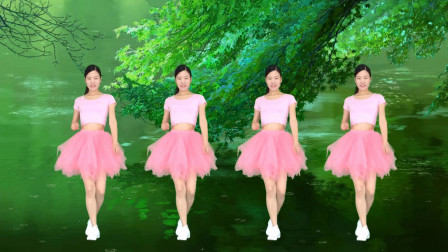 广场舞《灰姑娘DJ版》简单32步动感劲爆热身操！