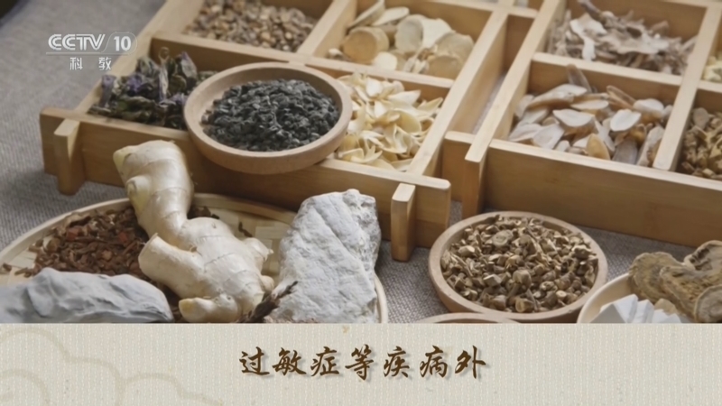 百家讲坛 《百家讲坛》 20240801 古代名医那些事儿 11 病因名家