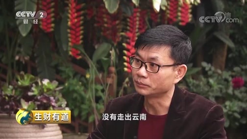生财有道 《生财有道》 20190108 竹子做出大文章