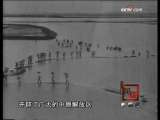 子年记忆