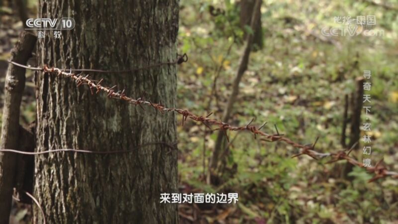 地理中国 《地理·中国》 20201003 寻奇天下·玄林幻境