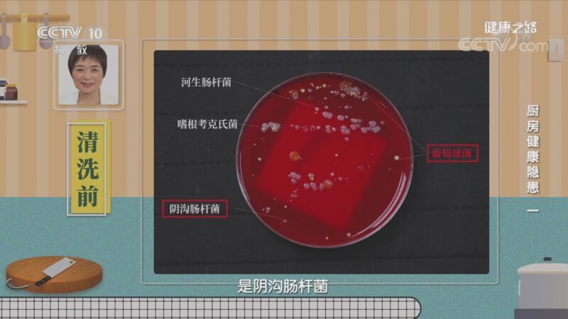 健康之路 《健康之路》 20201022 厨房健康隐患（一）
