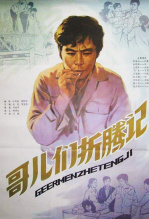 哥儿们折腾记 海报