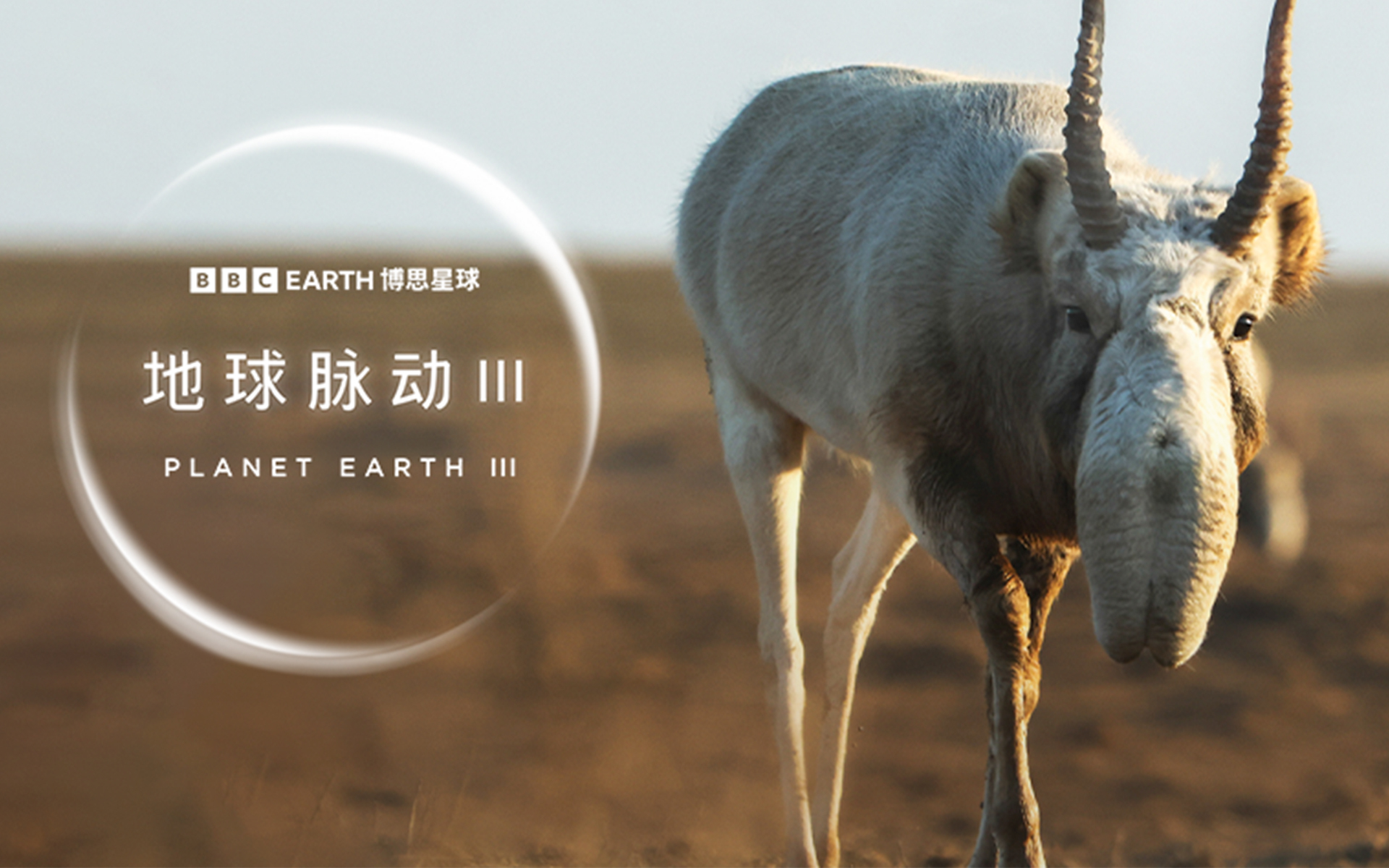 地球脉动 第三季 广袤之地