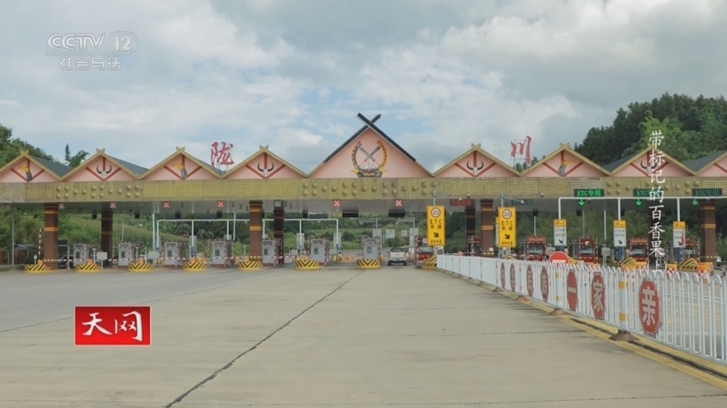 天网 《天网》 20230831 带标记的百香果（上）