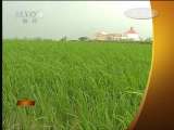 经济信息联播 经济信息联播 2011-05-05