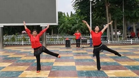 广场舞 广场舞《美丽的心情》