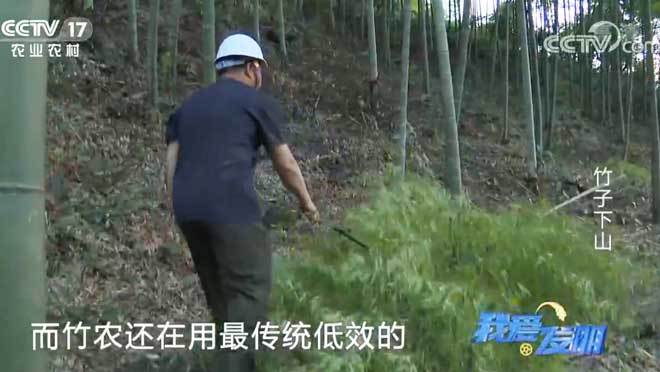 我爱发明 《我爱发明》 20200702 竹子下山