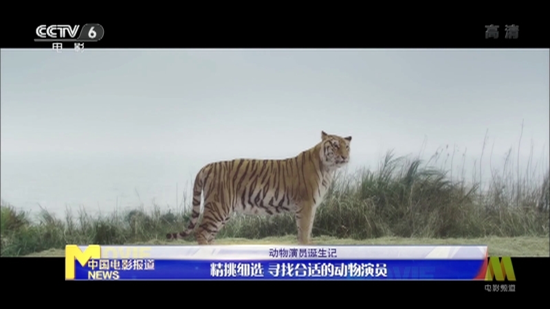 《电影快讯》 20210509