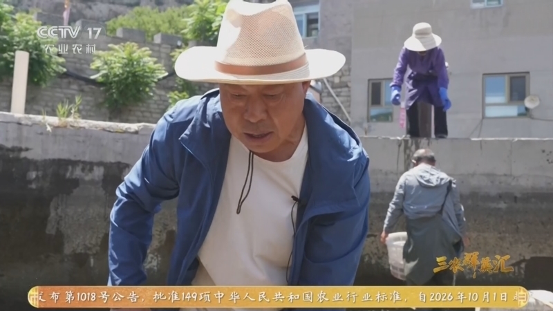 三农群英汇 《三农群英汇》 20260613 山沟沟里的皇家宴
