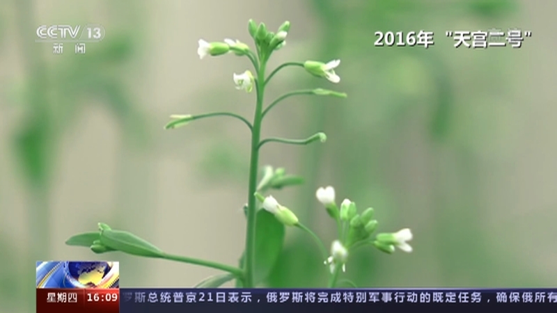 新闻直播间 《新闻直播间》 20221222 16:00