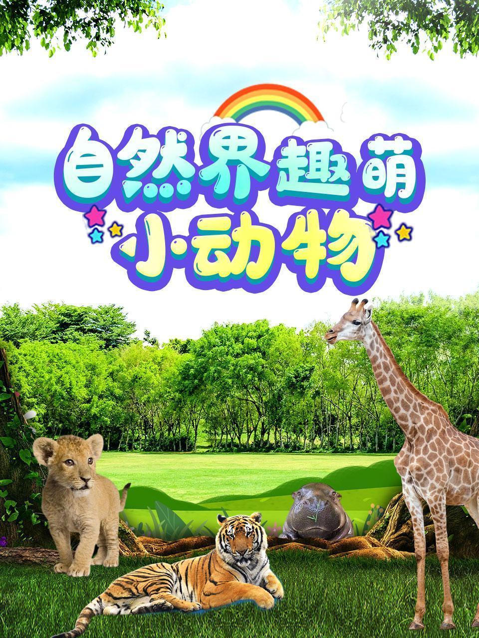 自然界趣萌小动物