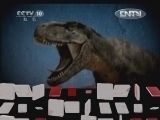 《地理中国》 20120905 系列节目《中国恐龙全景图》——神秘脚印