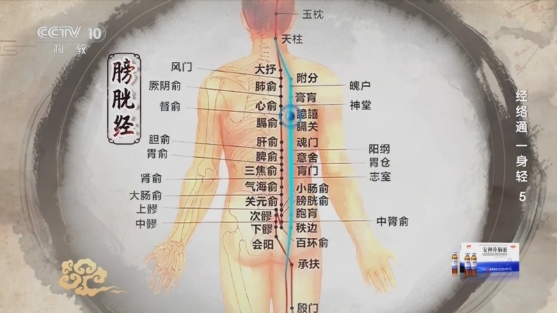 健康之路 《健康之路》 20241227 经络通 一身轻 5