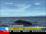 新闻直播间 《新闻直播间》 20141231 14:00