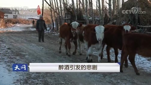 天网 《天网》 20190326 醉酒引发的悲剧