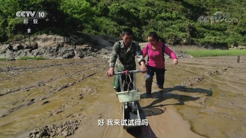 地理中国 《地理·中国》 20201106 奇趣大自然·苍南谜城