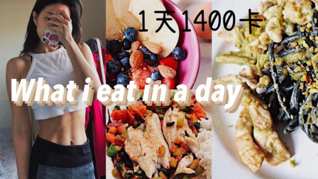 【Luna】减脂餐也要吃出幸福感！懒人省时高蛋白低脂料理 一天1400卡