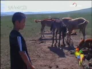 快乐体验 快乐体验 2008年 第96期