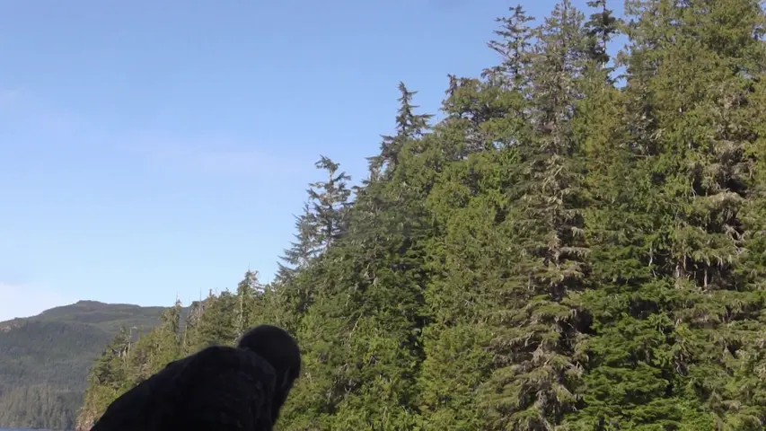 《荒野独居第二季》第6集