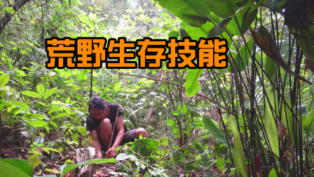 原始丛林人苏门答腊 第二季 流浪荒野也需要技能，带你远离城市，真实野外生存专家