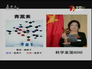 名师公开课 《2.6 表示物质的符号(第一课时)》授课教师：刘凤