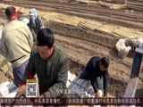 全省新闻联播 《全省新闻联播》 20170411