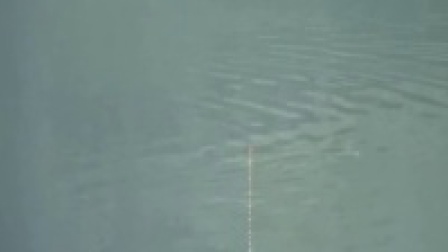 游钓江湖之川内行 金龙探高山马湖水库第十三集