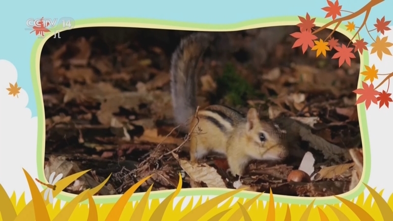 《小小智慧树》 20251219