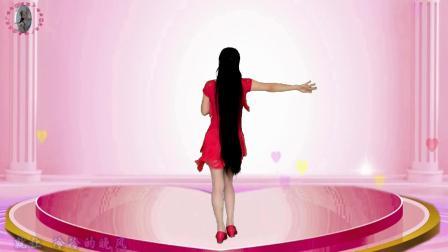 DJ广场舞《傻的很潇洒》DJ版，背面演示，简单好看