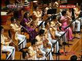 风华国乐 风华国乐 2010年 第119期