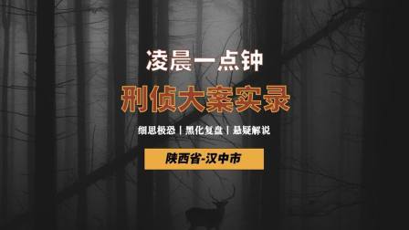 陕西汉中：凌晨一点的监控视频，引出水库抛尸案真相！