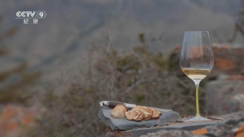 《从农场到餐桌 中法季》 第5集 葡萄酒